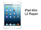iPad Parts Replacement - iPad Mini Glass Digitizer Replacement Service
