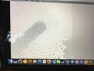 Mac Screen Repair - MacBook Pro 16" A2141 Liquid Spill LCD Backlight Sheet Replacement Service